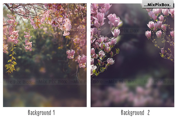 Floral Portrait Backgrounds in Add-Ons - product preview 1