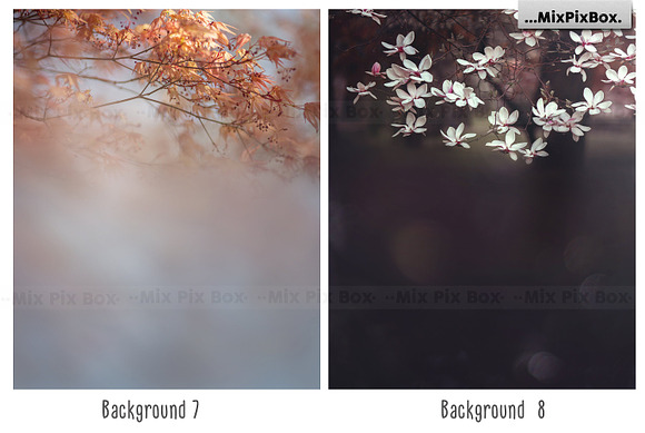 Floral Portrait Backgrounds in Add-Ons - product preview 4