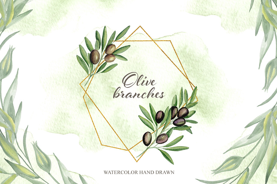 Olive branches.Watercolor hand drawn