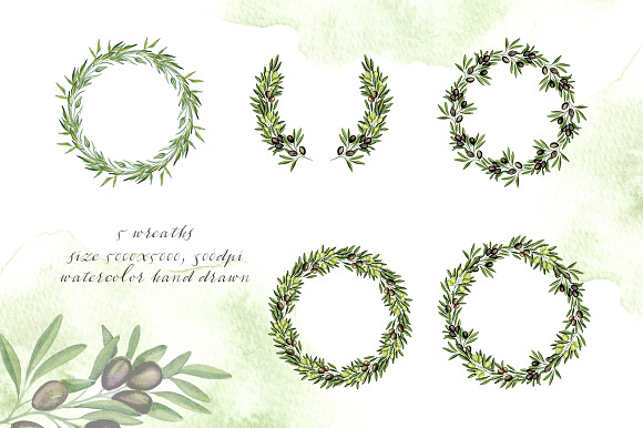 Olive branches.Watercolor hand drawn in Objects - product preview 2