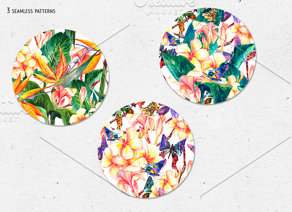 Strelitzia Watercolor Flowers in Objects - product preview 4