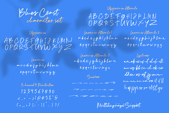 Blues Coast - Handwritten Font in Script Fonts - product preview 6