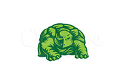 Turtle Mascot or Esport Logo