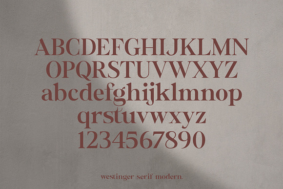 Victoryia Wastinger Elegant Display in Serif Fonts - product preview 12