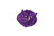 Owl Mascot or Esport Logo
