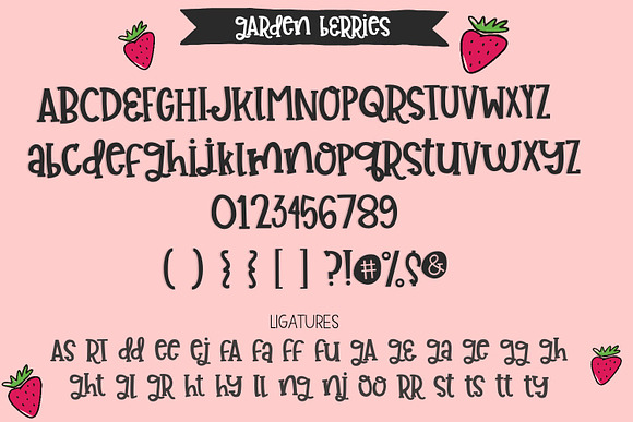 Garden Berries Handwritten Font in Display Fonts - product preview 1
