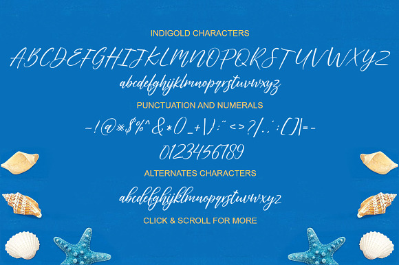 Indigold in Script Fonts - product preview 4