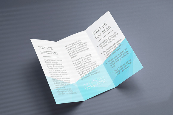 Tri-Fold Brochure / Flyer Mock-up in Flyer Templates - product preview 1