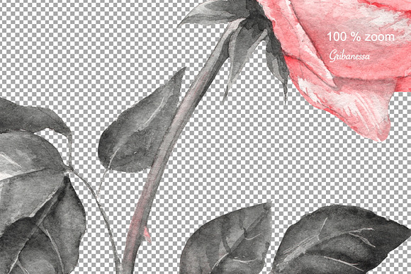 Patterns of roses in Patterns - product preview 3