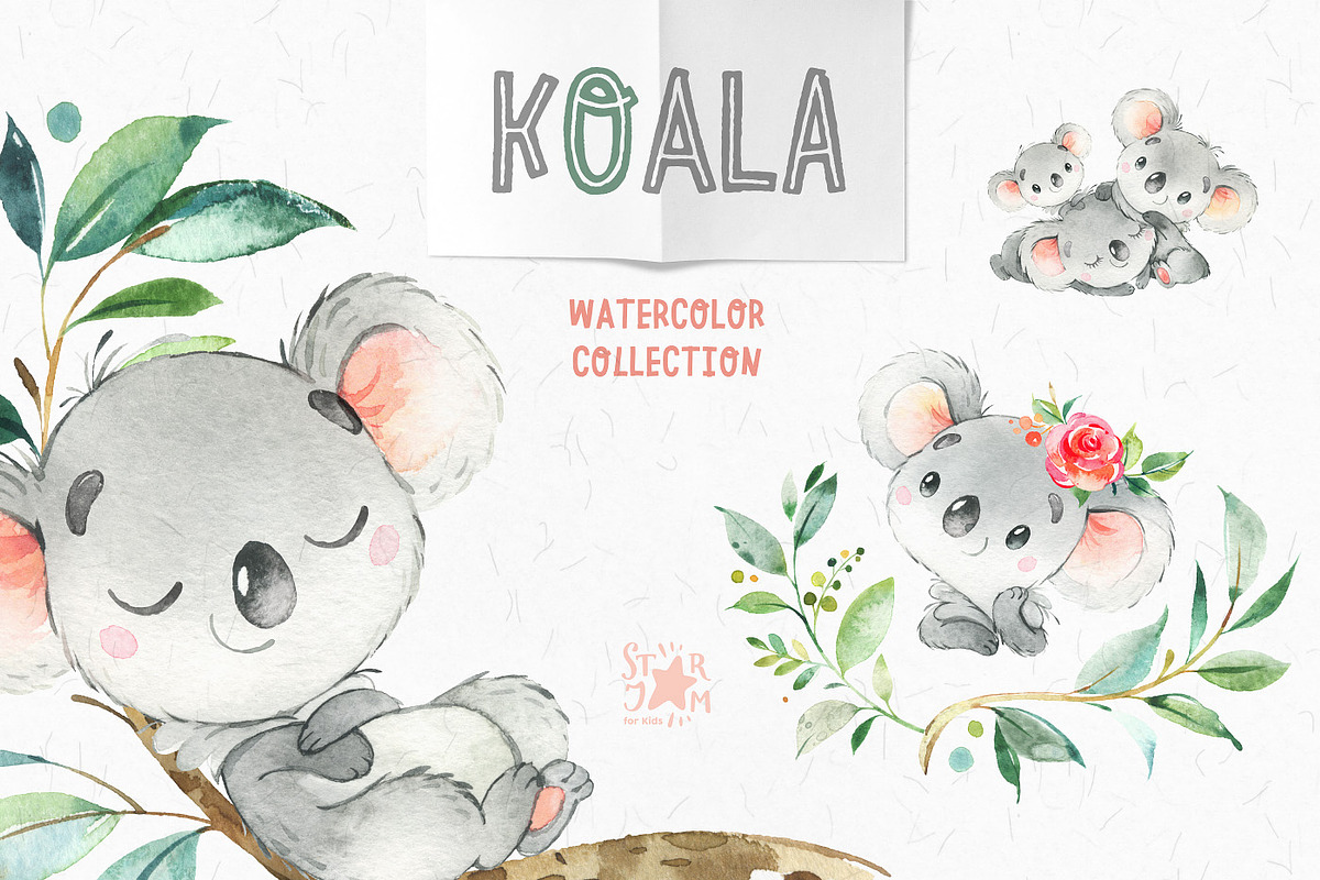 Koala. Watercolor Collection in Illustrations - product preview 8