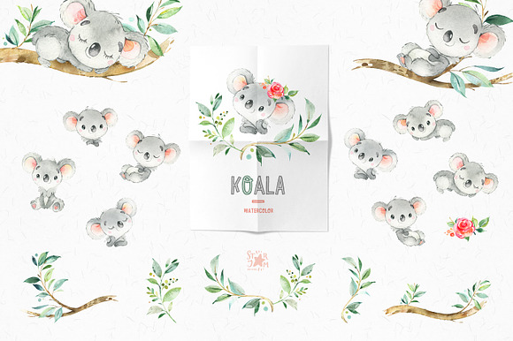 Koala. Watercolor Collection in Illustrations - product preview 1