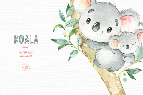 Koala. Watercolor Collection in Illustrations - product preview 4