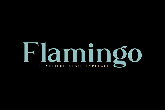 Flamingo in Serif Fonts - product preview 10