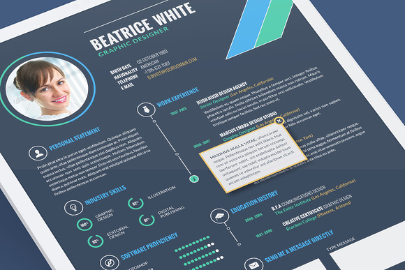 Interactive Resume Bundle in Resume Templates - product preview 3
