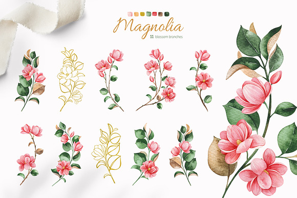 Magnolia.Gentle Floral Collection in Illustrations - product preview 3