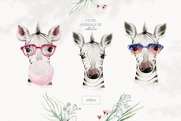Cute animals III. Savanna in Illustrations - product preview 4