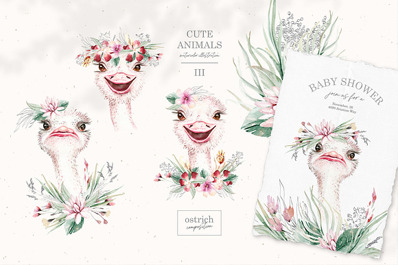 Cute animals III. Savanna in Illustrations - product preview 11