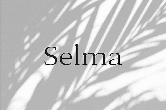 Selma - A Classy Serif Typeface in Serif Fonts - product preview 4