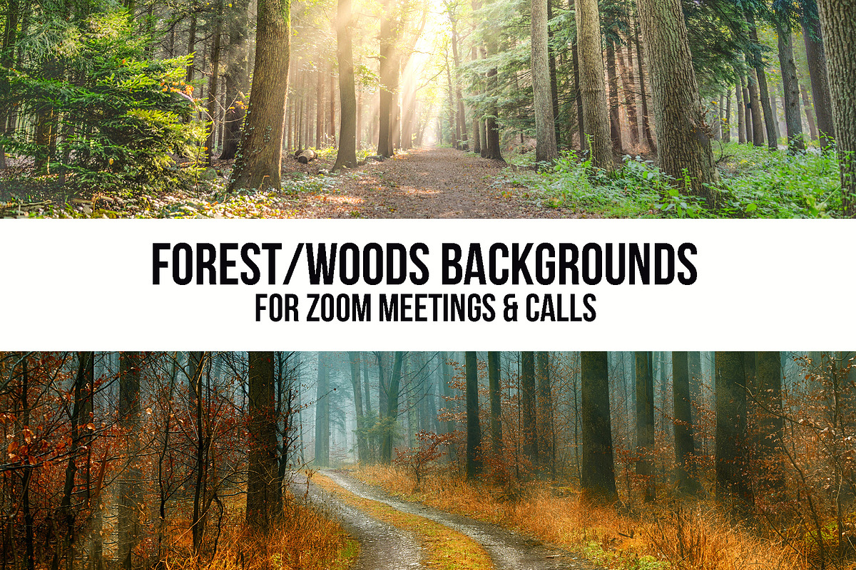 Forest/Wood Background Pack For ZOOM in Social Media Templates - product preview 8