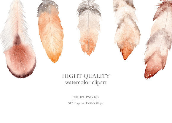 Watercolor Boho Feathers Collection in Illustrations - product preview 3