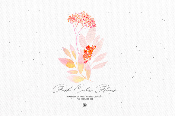 Fresh Colors Flowers in Illustrations - product preview 1