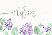 lilacs hand-painted watercolor set