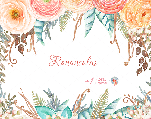 Ranunculus Watercolor in Illustrations - product preview 3