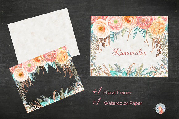 Ranunculus Watercolor in Illustrations - product preview 4