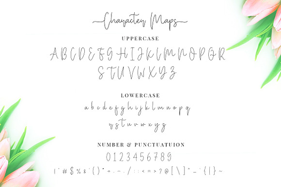 Miya Wayne - Lovely Script Font in Script Fonts - product preview 13
