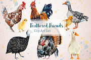 Feathered Friends Watercolor Clipart