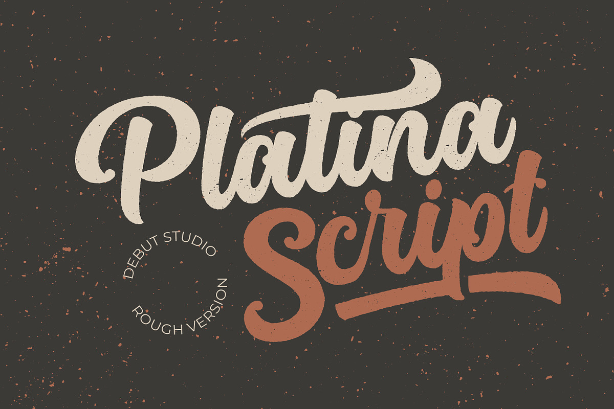 Platina Script // Rough Version in Script Fonts - product preview 8