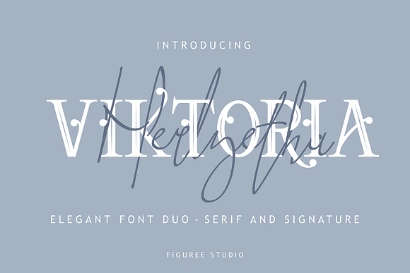 THE SEXIEST BUNDLE in Display Fonts - product preview 31