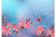 Butterfly and cherry blossoms with