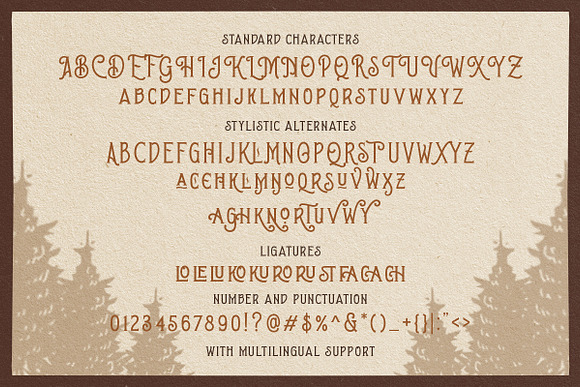 Brown Chunkers - Display Typeface in Display Fonts - product preview 9