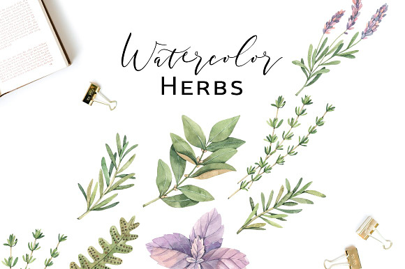 Floral bundle | Watercolor SALE in Illustrations - product preview 1