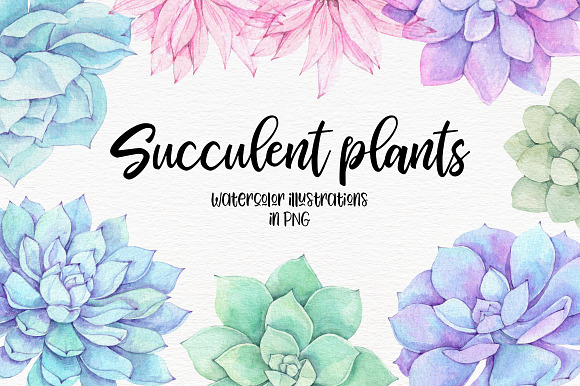 Floral bundle | Watercolor SALE in Illustrations - product preview 19