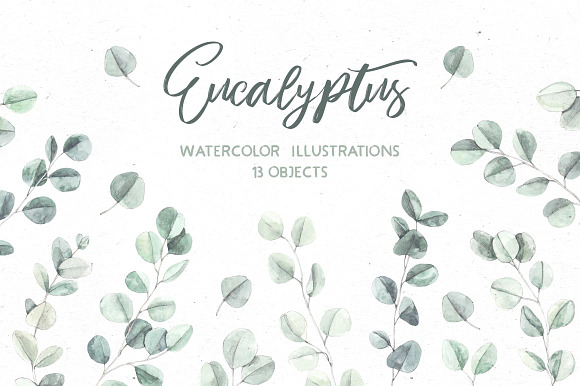 Floral bundle | Watercolor SALE in Illustrations - product preview 22