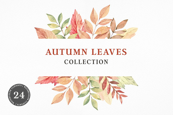Floral bundle | Watercolor SALE in Illustrations - product preview 24