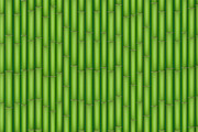 Green Bamboo texture