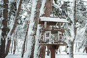 slow motion nice wooden birdhouse or
