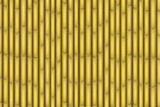 Yellow Bamboo texture