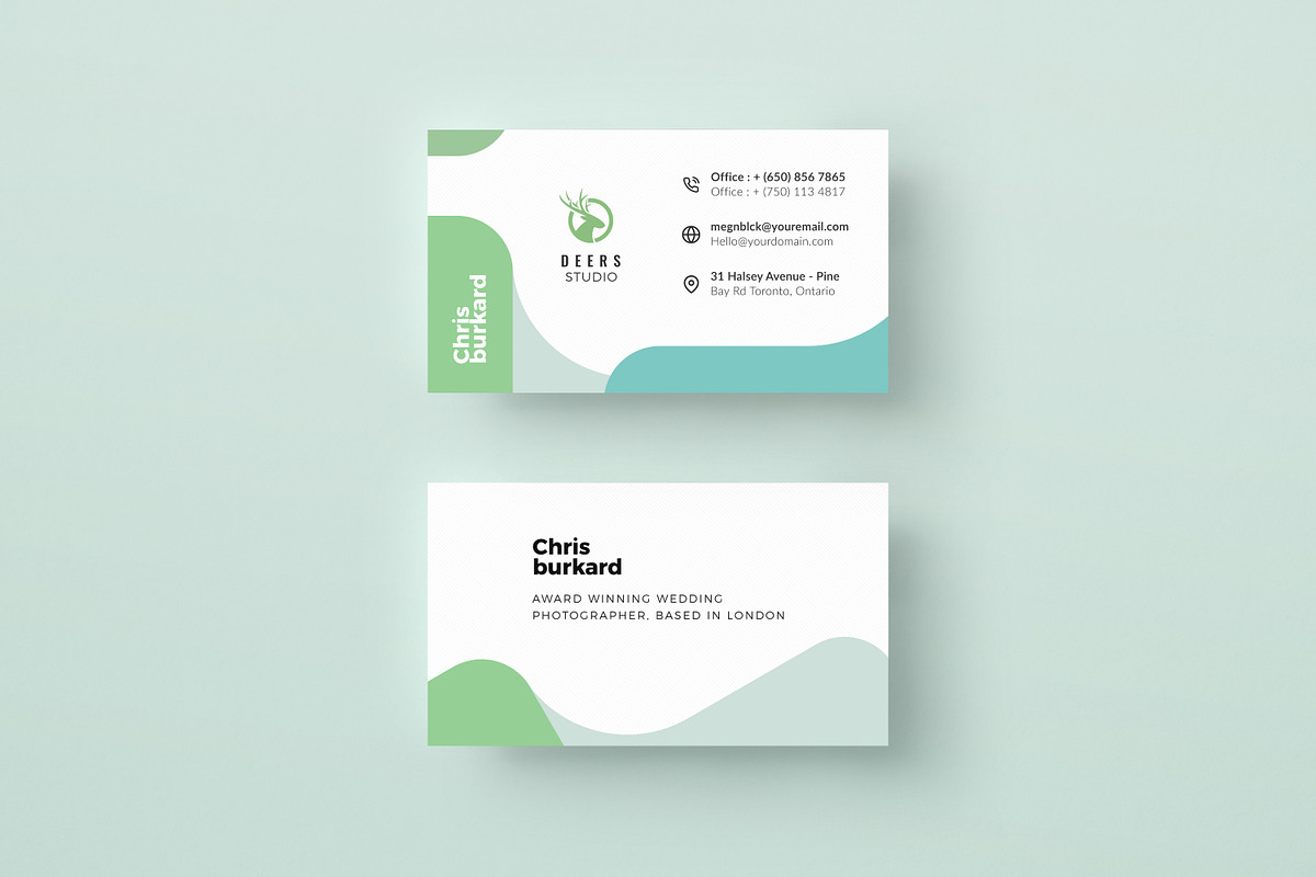 Bundle - Modern Business Cards in Business Card Templates - product preview 8
