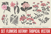 Set Flowers Botany Nature Tropical