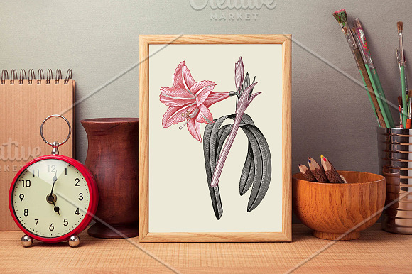 Set Flowers Botany Nature Tropical in Illustrations - product preview 4