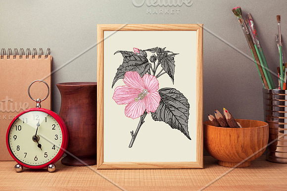 Set Flowers Botany Nature Tropical in Illustrations - product preview 5