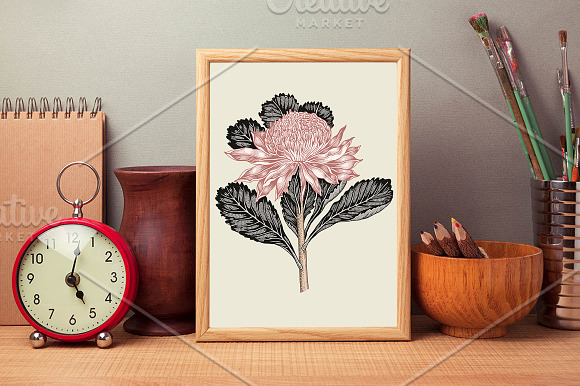 Set Flowers Botany Nature Tropical in Illustrations - product preview 6