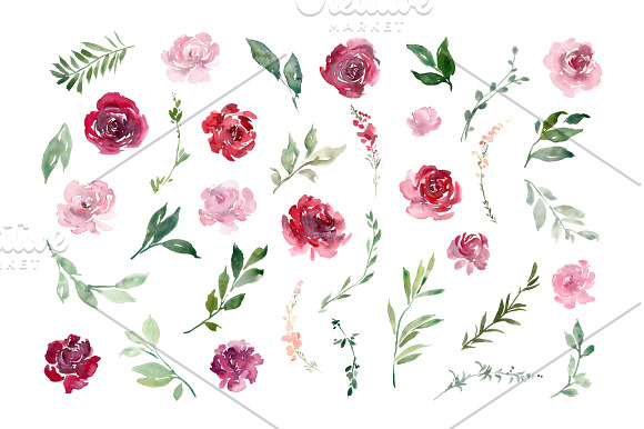 Watercolor Red Blush Pink Flowers in Illustrations - product preview 1