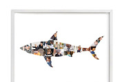 Shark photo Collage Template