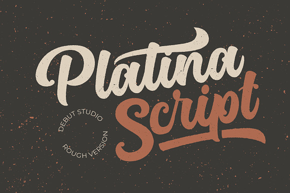 Platina Script // ALL VERSION in Script Fonts - product preview 3