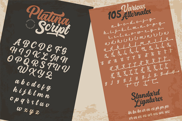 Platina Script // ALL VERSION in Script Fonts - product preview 7
